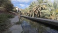 Aflaj Irrigation System in an old omani village.