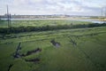 NJ Wetland View