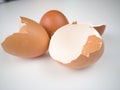 Brown and cream colored egg shells Royalty Free Stock Photo