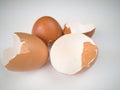 Brown and cream colored egg shells Royalty Free Stock Photo