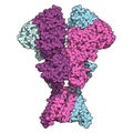 NMDA receptor ionotropic glutamate receptor. Structure of the human NMDAR, determined by cryo-EM. Tetrameric complex composed of