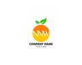 NNW letter orange fruit logo design vector illustration