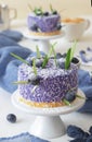 No bake blueberry mini cheesecakes