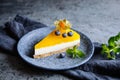 No bake mango cheesecake decorated with blueberries and physalis Royalty Free Stock Photo