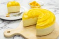 No bake mango cheesecake Royalty Free Stock Photo