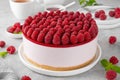 No baked raspberry cheesecake or raspberry cream mousse cake with jelly and fresh berries on top on a white plate on a gray Royalty Free Stock Photo