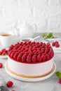 No baked raspberry cheesecake or raspberry cream mousse cake with jelly and fresh berries on top on a white plate Royalty Free Stock Photo