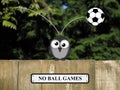 No Ball Games