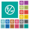 No dog walking square flat multi colored icons Royalty Free Stock Photo