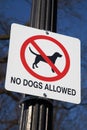 No Dogs Allowed