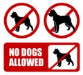 no dogs allowed. Dog prohibition sign