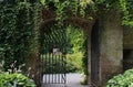 No dogs allowed hidden garden Royalty Free Stock Photo