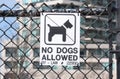 No dogs allowed sign