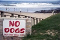 No dogs