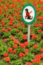No dogs sign in flowerbed