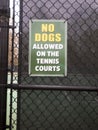 NO DOGS sign tennis court