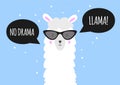 No drama - lama. Cute lama with sunglasses. Speech bubbles with text. Vector