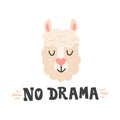 No drama. Lama head and hand drawn quote. Cute animal face character for greeting cards.