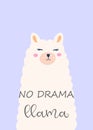 No drama llama cute card