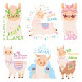 No drama llama. Funny llamas or cute alpacas quote, happy mexican alpaca vector illustration set Royalty Free Stock Photo