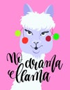 No drama llama hand lettering poster with alpaca portrait