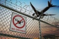 No drone zone sign warning about restricted no fly area near airport. Royalty Free Stock Photo