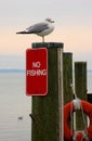 No Fishing