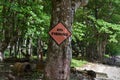 \'No Fishing\' Sign on a Tree in Matelot, Trinidad and Tobago Royalty Free Stock Photo
