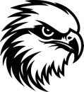 Falcon - black and white vector illustration Royalty Free Stock Photo