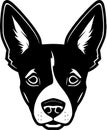 Basenji - black and white vector illustration