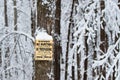 No hunting, no trespassing sign on a snowy tree in Wisconsin