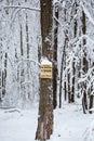 No hunting, no trespassing sign on a snowy tree in Wisconsin