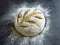 No knead baked date bread on a black surface Royalty Free Stock Photo