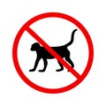 No monkey sign vector icon in flat style Royalty Free Stock Photo