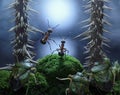 No monsters at Rotten Swamp! ants thriller