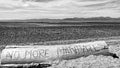 No more mandates text on a log at the beach, Aotearoa / New Zealand