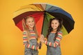 No more rain. Good mood at any weather. small girl under colorful umbrella. two happy kids yellow wall. children enjoy Royalty Free Stock Photo