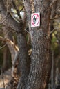 No open flame sign on the trunk of a pine tree