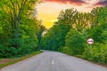 No overtaking sign on winding asphalt road in a green forest Royalty Free Stock Photo