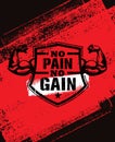 No Pain No Gain. Gym Workout Motivation Quote Vector Concept. Sport Fitness Inspiration Sign. Muscle Arm Royalty Free Stock Photo