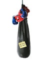 No pain no gain word on paper with punching bag Royalty Free Stock Photo