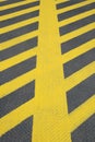 No parking yellow road marking Royalty Free Stock Photo