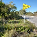 No passing zone sign along the highway