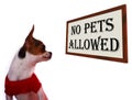 No Pets Allowed Sign