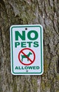 No pets allowed sign on tree. Royalty Free Stock Photo