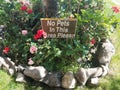 No pets in this area please sign with red and pink flowers and rocks Royalty Free Stock Photo