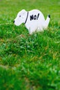No Pooping On The Grass Sign