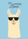 No prob llama motivational and inspirational quote. Cute llama head with black sunglasses. Good for cards, print Royalty Free Stock Photo