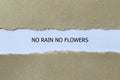 no rains no flowers on white paper Royalty Free Stock Photo