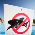 No sharks Royalty Free Stock Photo